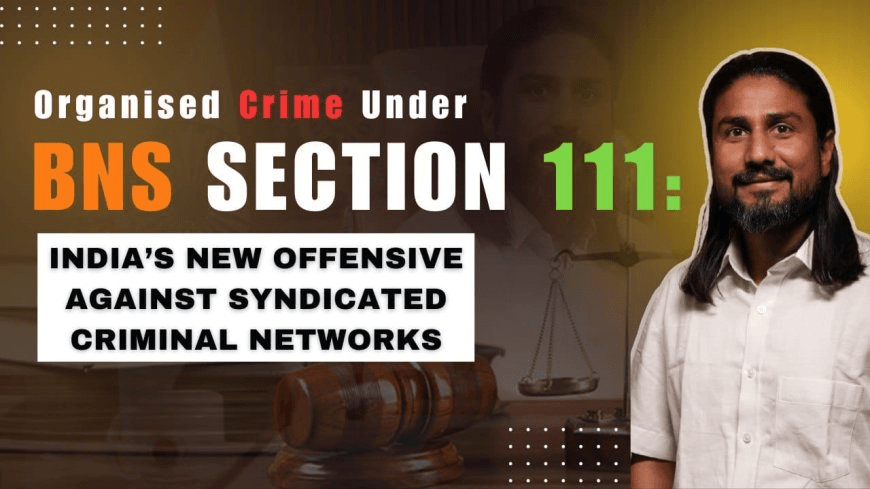 Organised Crime Article